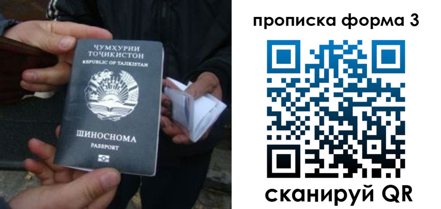 прописка 2025 в Протвино